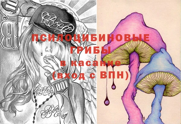 прущий лед Магас