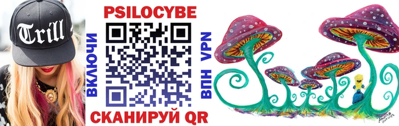 Псилоцибиновые грибы Psilocybe  дарнет шоп  Медвежьегорск 